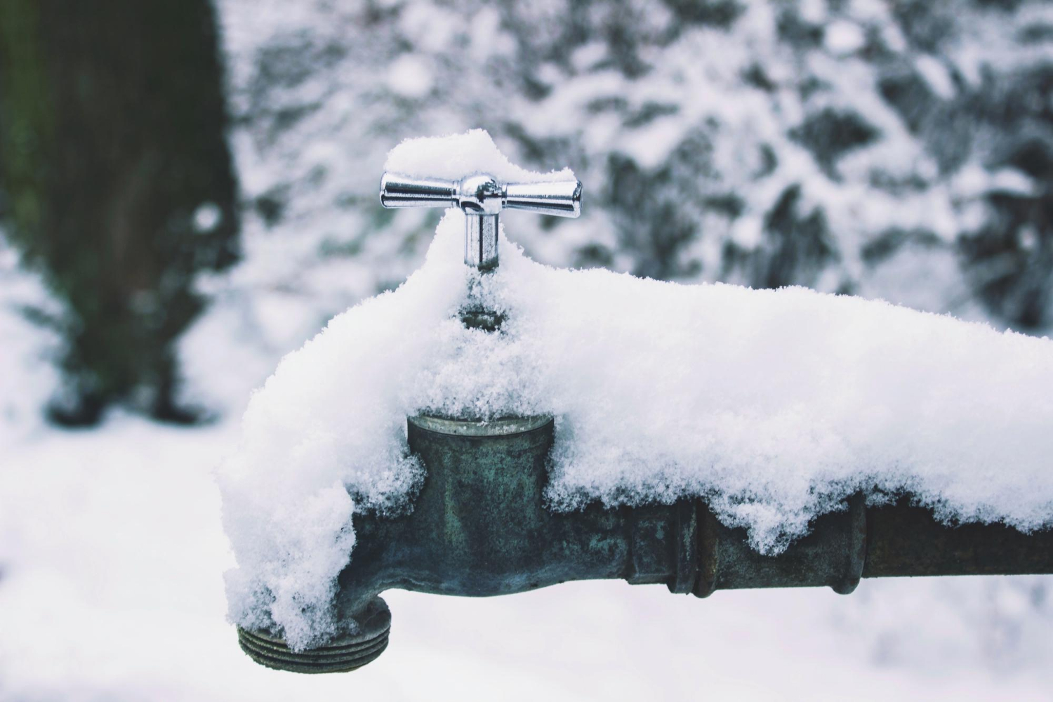 Essential Steps to Winterise Your Plumbing