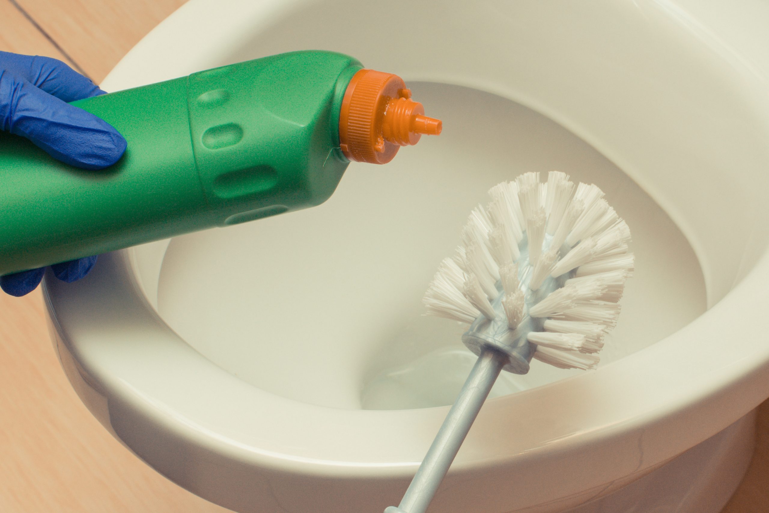 Essential Toilet Maintenance Every Homeowner Should Know