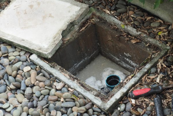 Sewer